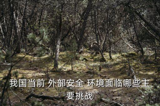我國當前 外部安全 環(huán)境面臨哪些主要挑戰(zhàn)