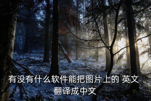 翻譯圖片中的英文,翻譯器拍照掃一掃