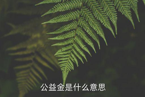  公益金是什么意思