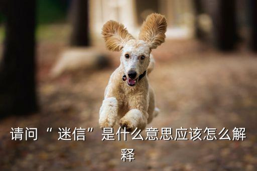 請問“ 迷信”是什么意思應(yīng)該怎么解釋