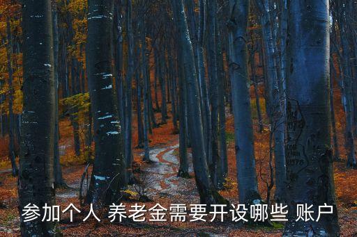 參加個(gè)人 養(yǎng)老金需要開(kāi)設(shè)哪些 賬戶