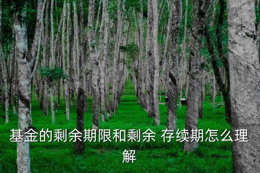 存續(xù)期