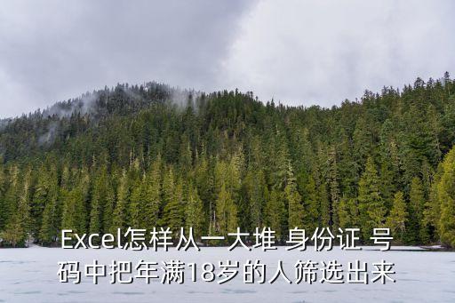 Excel怎樣從一大堆 身份證 號(hào)碼中把年滿18歲的人篩選出來