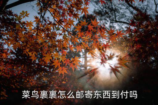  菜鳥裹裹怎么郵寄東西到付嗎