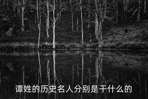 譚紅,譚洪恩簡(jiǎn)介