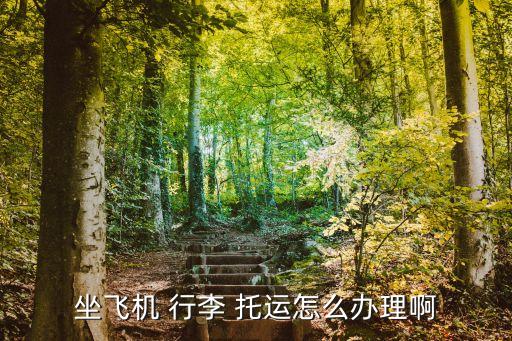 坐飛機 行李 托運怎么辦理啊