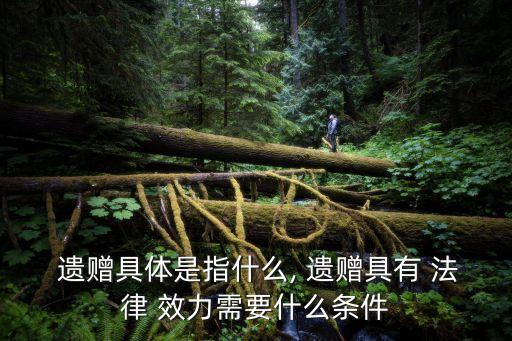遺贈的法律效力,民法典關(guān)于遺贈的法律規(guī)定