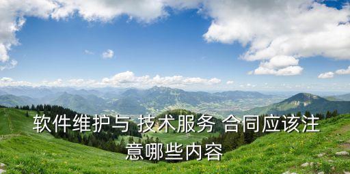 軟件技術(shù)咨詢合同