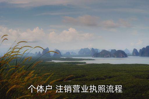  個(gè)體戶 注銷營業(yè)執(zhí)照流程
