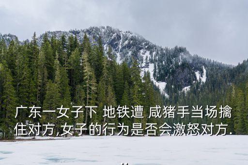 廣東一女子下 地鐵遭 咸豬手當場擒住對方,女子的行為是否會激怒對方...