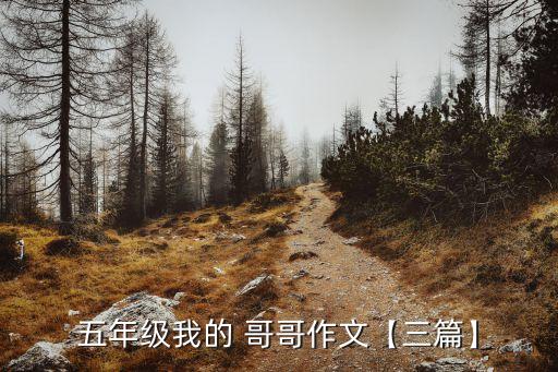 哥哥草妹妹