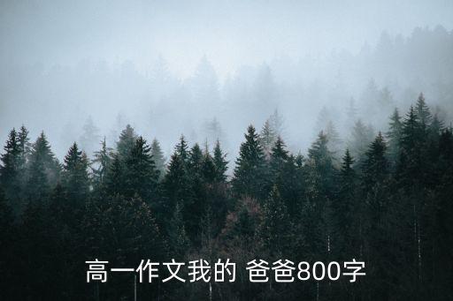 高一作文我的 爸爸800字