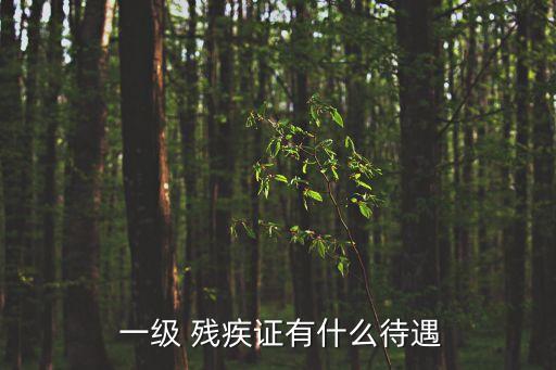 一級(jí)殘疾