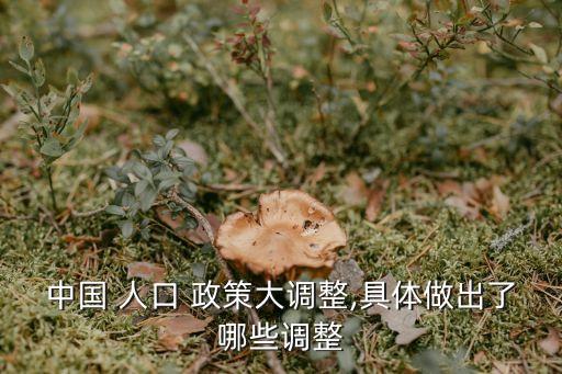 我國人口政策,梳理我國人口政策