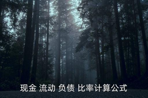 現(xiàn)金 流動 負(fù)債 比率計算公式