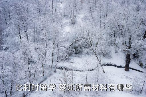 比利時簽證