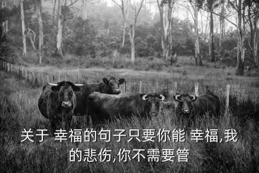 幸福我不讓,我一定會讓你幸福