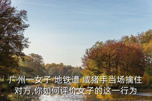 地鐵咸豬手