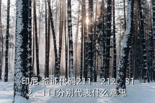 印度尼西亞簽證