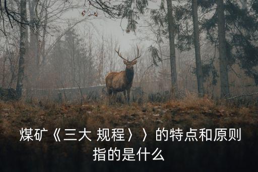  煤礦《三大 規(guī)程〉〉的特點和原則指的是什么