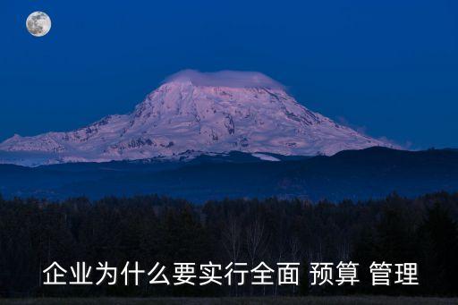 企業(yè)預算管理