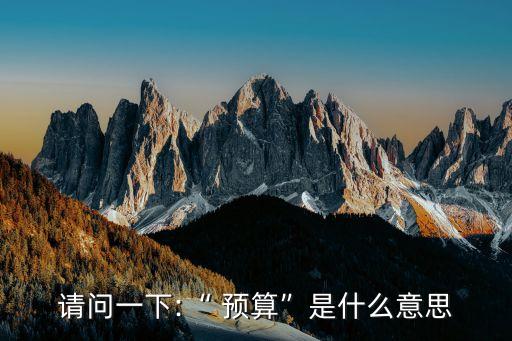 預算是什么意思,一般公共預算是什么意思