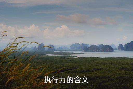 執(zhí)行力的含義