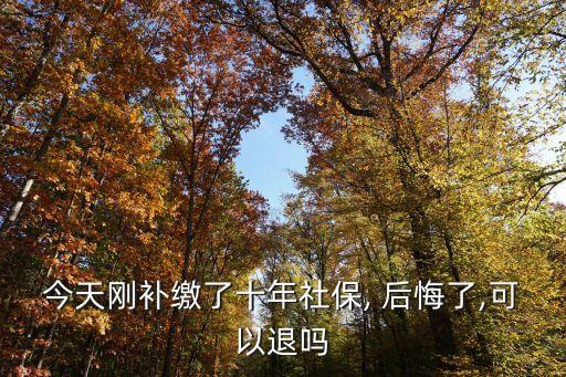 今天剛補(bǔ)繳了十年社保, 后悔了,可以退嗎