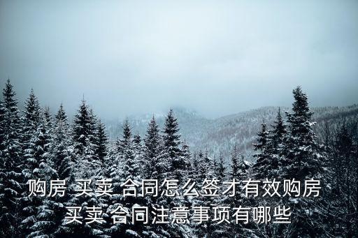 購房 買賣 合同怎么簽才有效購房 買賣 合同注意事項有哪些