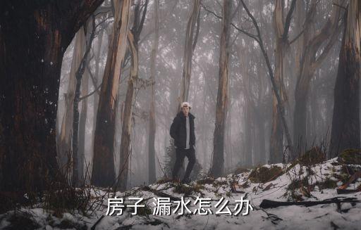 房子 漏水怎么辦