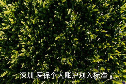  深圳 醫(yī)保個人賬戶劃入標(biāo)準(zhǔn)