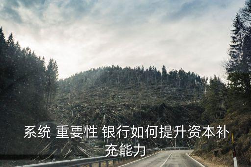系統(tǒng)重要性銀行