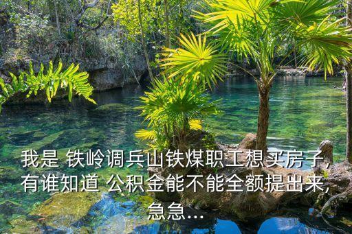 我是 鐵嶺調(diào)兵山鐵煤職工想買房子,有誰知道 公積金能不能全額提出來,急急...