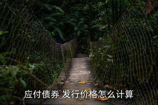 發(fā)行價格