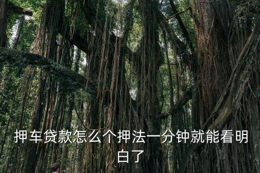  押車貸款怎么個(gè)押法一分鐘就能看明白了