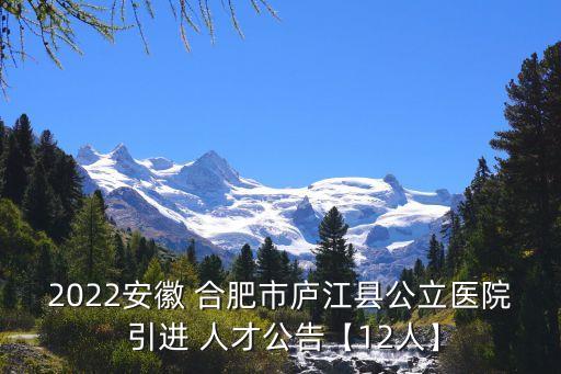 合肥人才引進(jìn)