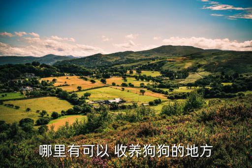 哪里有可以 收養(yǎng)狗狗的地方