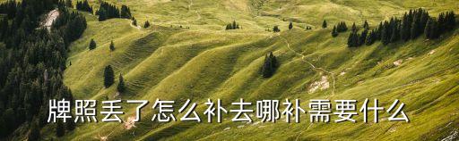 牌照丟了怎么補(bǔ)去哪補(bǔ)需要什么