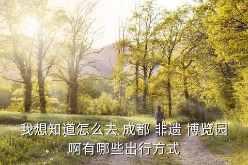 成都非遺博覽園