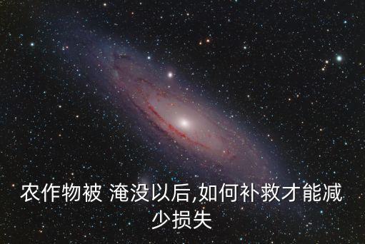 淹沒莊稼