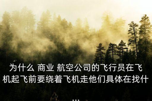為什么 商業(yè) 航空公司的飛行員在飛機起飛前要繞著飛機走他們具體在找什...