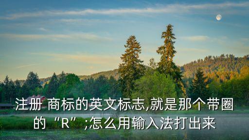 商標(biāo)r怎么打出來(lái),注冊(cè)商標(biāo)r怎么打右上角
