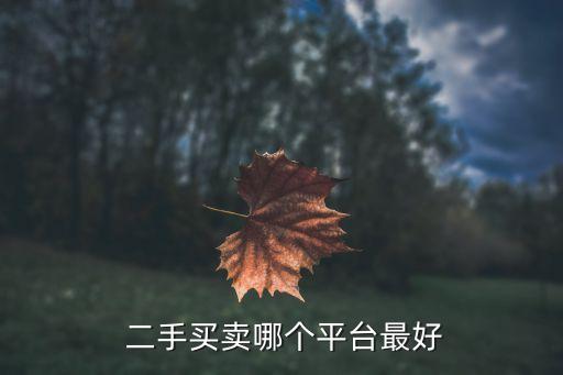 二手買賣哪個平臺最好