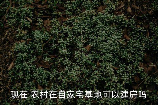 農村可以建房子嗎,在原有的宅基地拆舊建新