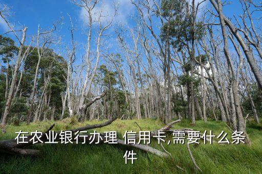 農(nóng)行信用卡申請