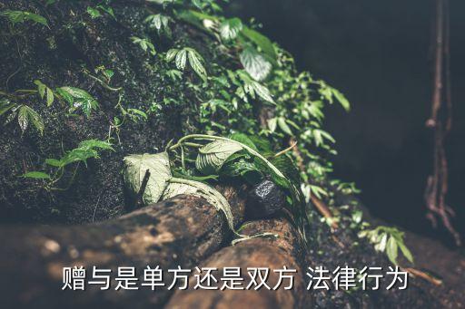 贈(zèng)與合同屬于什么法律關(guān)系,學(xué)生與學(xué)校屬于什么法律關(guān)系