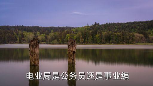  電業(yè)局是公務(wù)員還是事業(yè)編