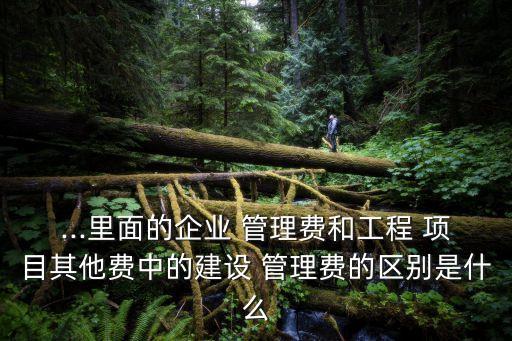 ...里面的企業(yè) 管理費和工程 項目其他費中的建設(shè) 管理費的區(qū)別是什么