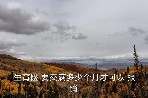  生育險(xiǎn) 要交滿多少個(gè)月才可以 報(bào)銷