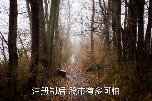 注冊制后 股市有多可怕